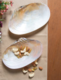 Shell Craft Flat Serving Bowls (Set of 2 - Medium)