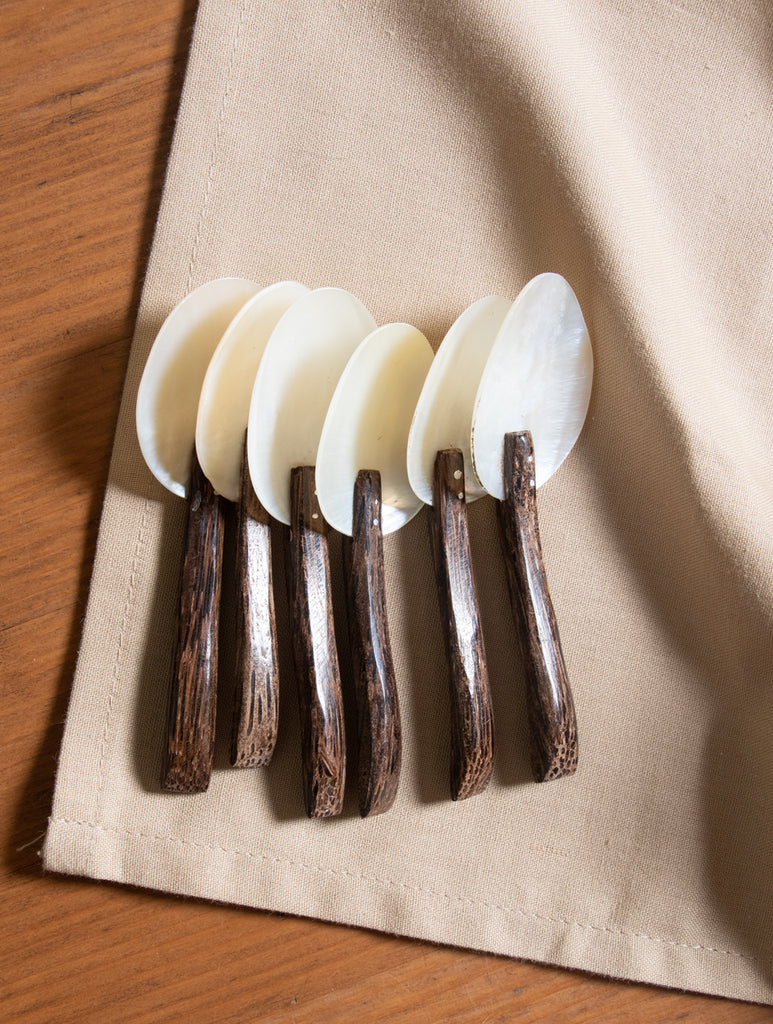 Shell Craft Small Spoons With Coconut Shell Handles - (Set of 6) - The India Craft House 