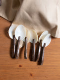 Shell Craft Small Spoons With Coconut Shell Handles - (Set of 6)