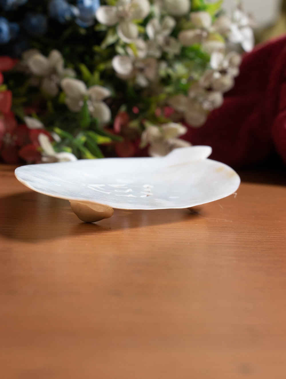 Shell Craft Soap Holder - Leaf (Set of 2) - The India Craft House 