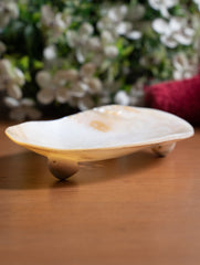 Shell Craft Soap Holder - Mixed Shapes (Set of 3) - The India Craft House 