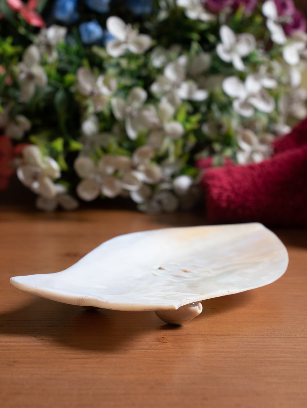 Shell Craft Soap Holder - Mixed Shapes (Set of 3) - The India Craft House 